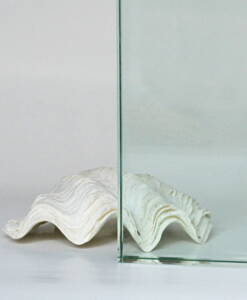 Alternative view of Aquarium Floatglas