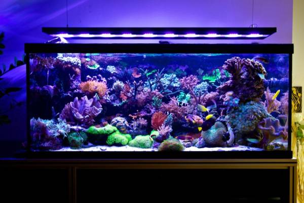 Mit Vertex Illumina beleuchtet