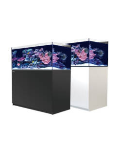 Red Sea Reefer  425 G2+