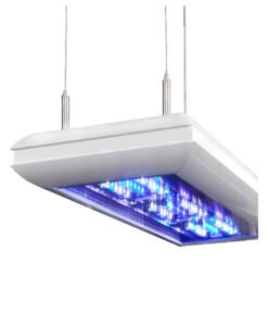 Giesemann Futura S Marine Serie