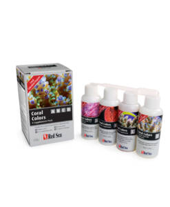 Red Sea Coral Colors ABCD