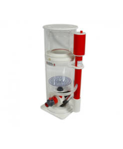 Royal Exclusiv Mini Bubble King