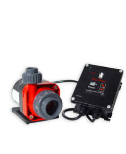 Royal Exclusiv Red Dragon ® 3 (Mini) Speedy