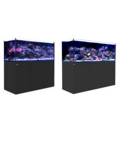 Red Sea Reefer 625 G2+