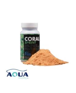 Fauna Marin Coral Sprint
