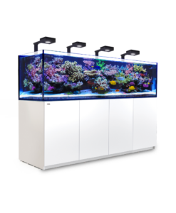 Red Sea Reefer 900 Deluxe G2+