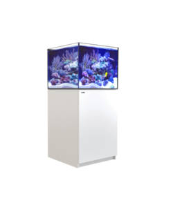 Alternative view of Red Sea Reefer XL 200 G2+