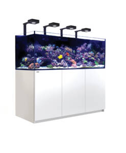 Red Sea Reefer 750 Deluxe G2+