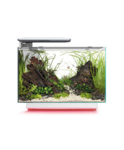 Alternative view of Superfisch Quadro 70 Multi Colour weiss