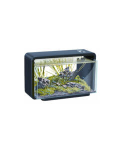 Superfisch Home 25 Schwarz