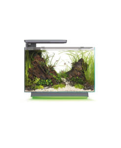 Alternative view of Superfisch Quadro 70 Multi Colour schwarz