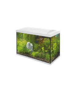 Alternative view of Superfish Aquarium Start 100 Tropical Kit Weiss